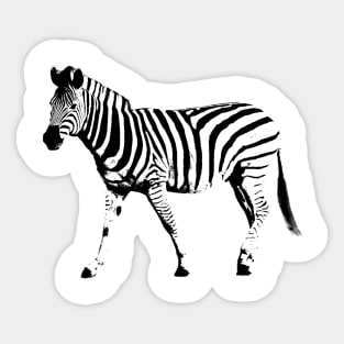 Zebra pop art Sticker